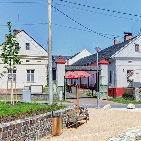Slezsky Grunt Hotel Háj ve Slezsku Exterior photo